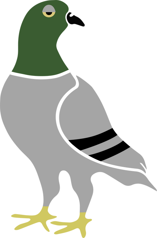 Palos logo