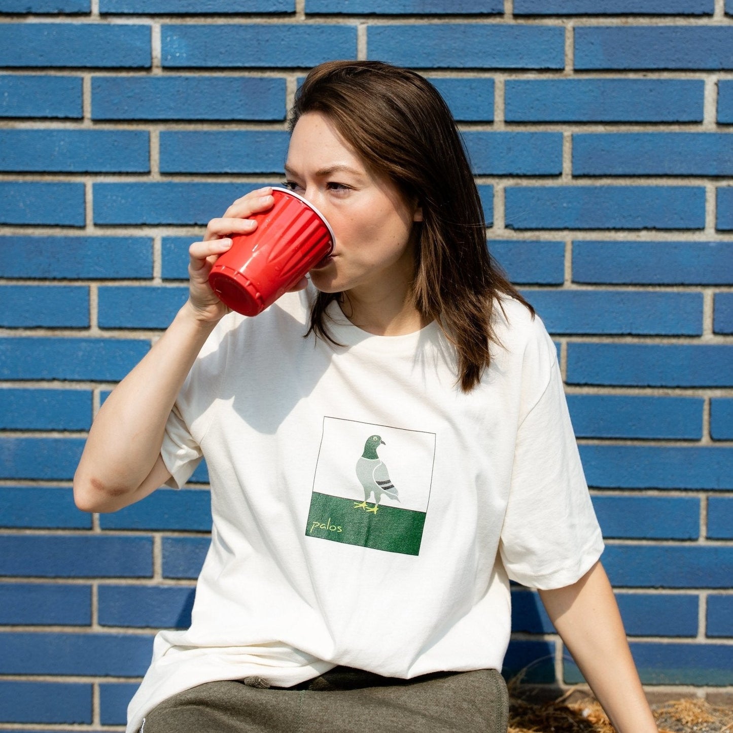 Grounded Pigeon Tee - Palos