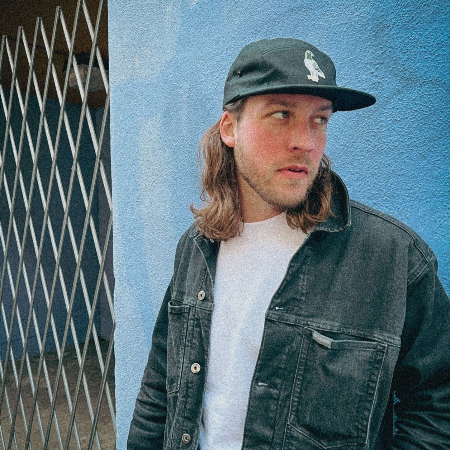 Pigeon 5 panel - Palos