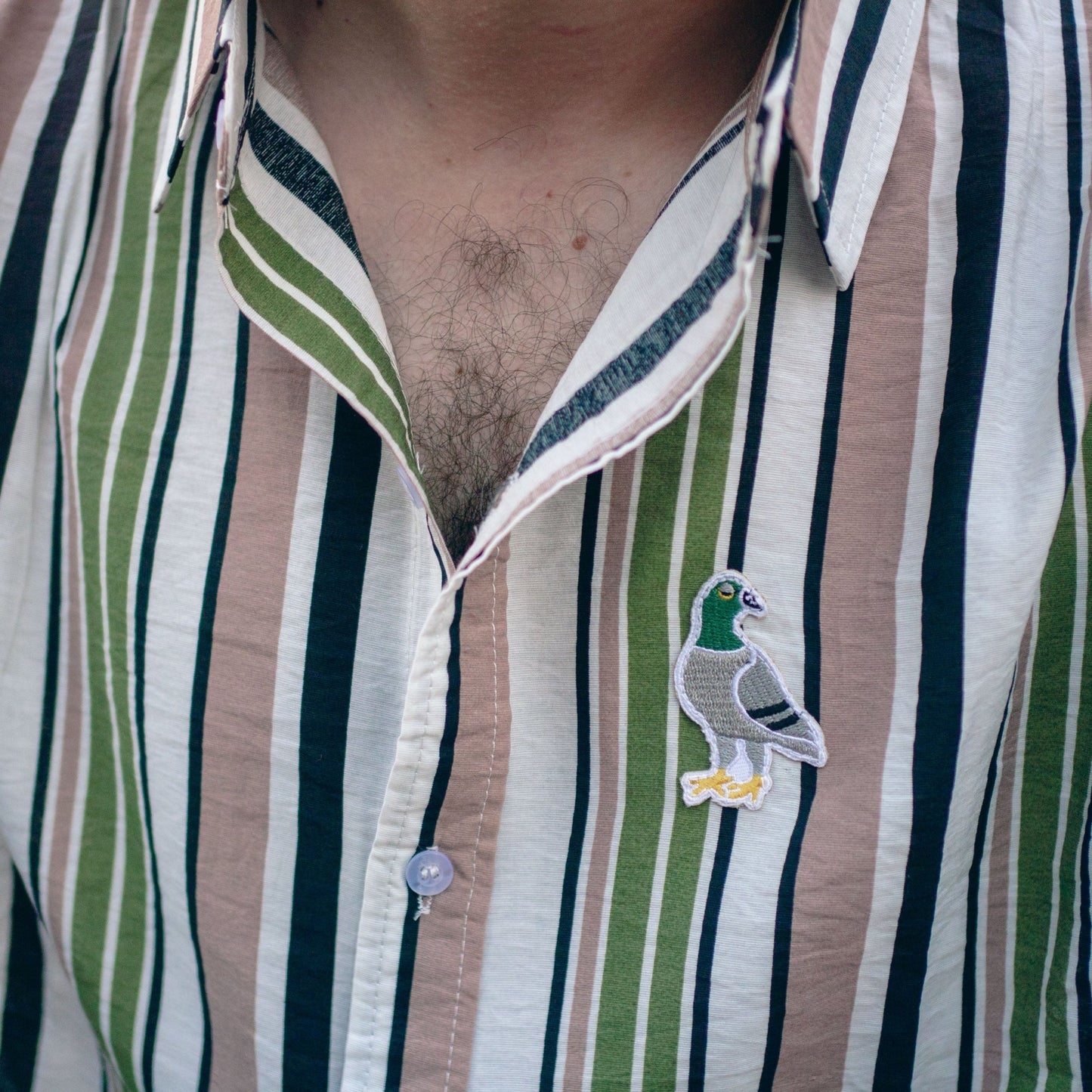 Striped Button-Up - Palos