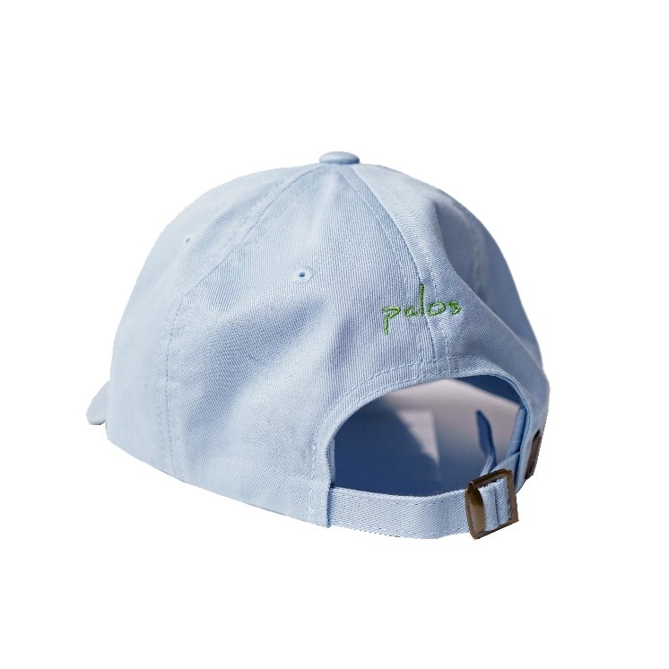 Hole Out Dad Hat - Palos